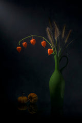 Chinese Lantern and Tail Grass Poster och Canvastavla