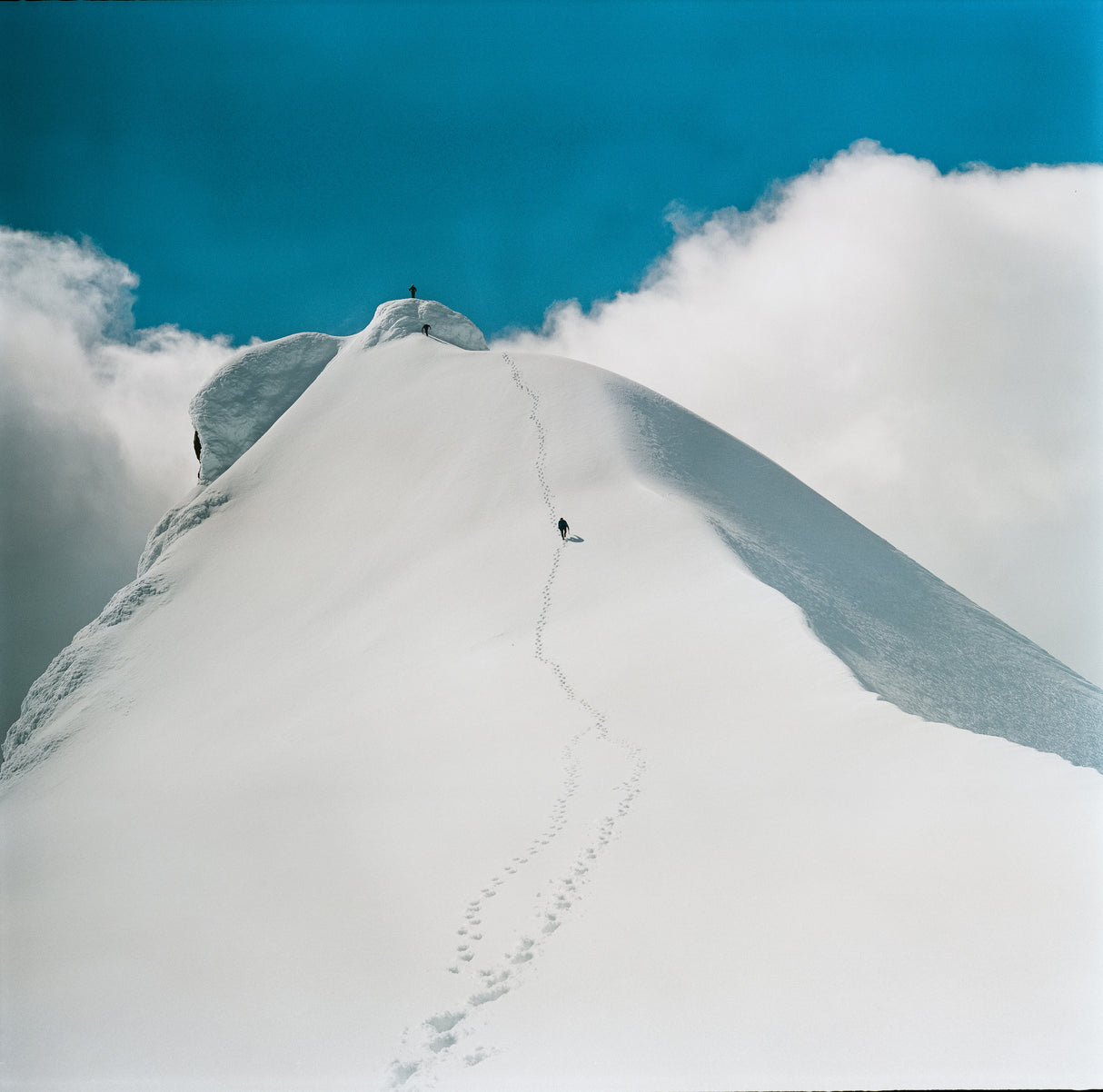 To the peak Poster och Canvastavla