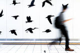 Walking with birds Poster och Canvastavla