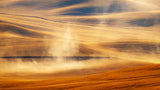 Golden Autumn Poster och Canvastavla
