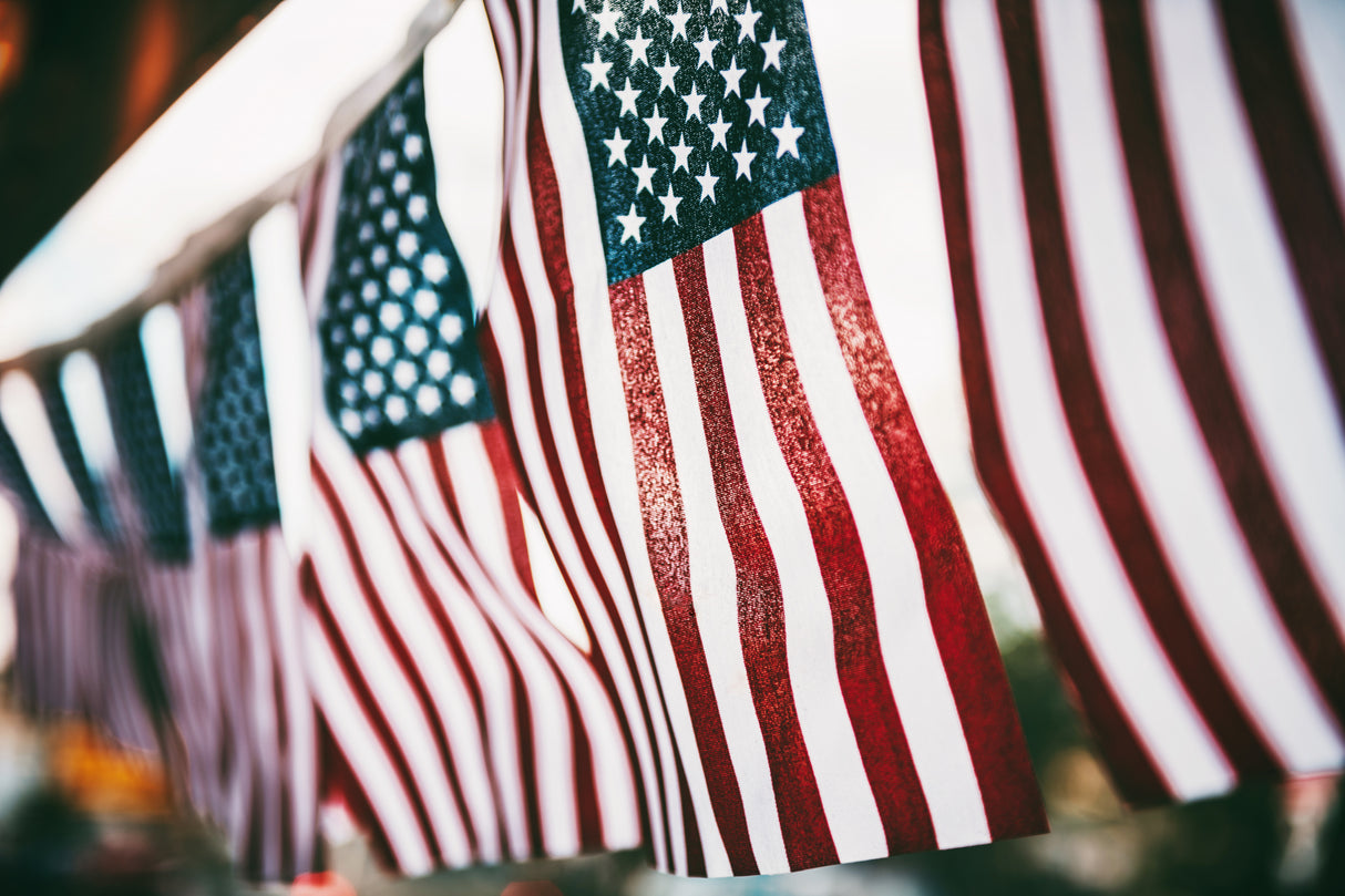 USAmerica Poster och Canvastavla