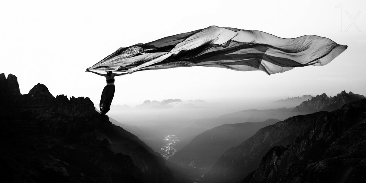 Free as the wind Poster och Canvastavla