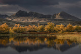 Golden autumn in Norway Poster och Canvastavla