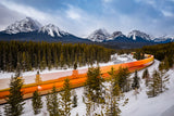 Morant's Curve in Winter Poster och Canvastavla
