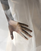 Hand Through Sheer Poster och Canvastavla