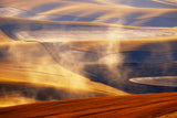 Palouse Impressions Poster och Canvastavla