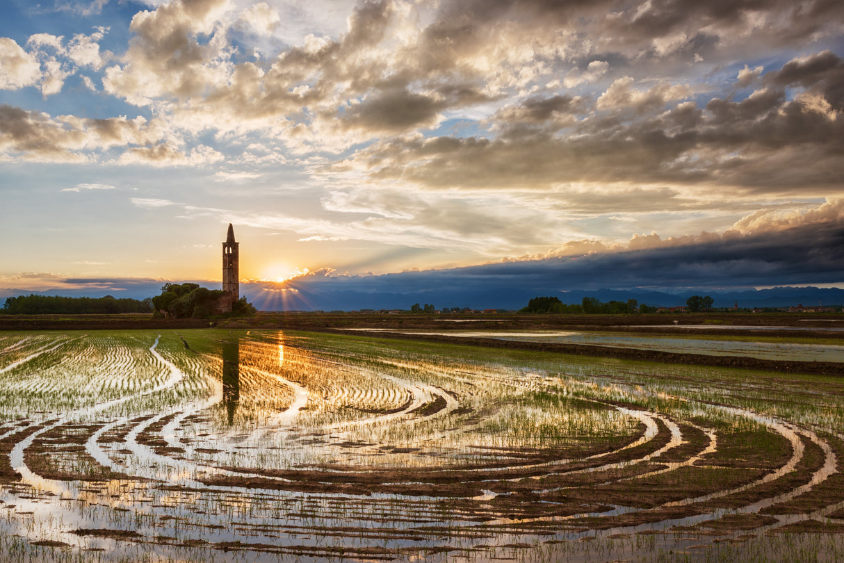 Old church in the rice field Poster och Canvastavla