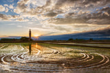 Old church in the rice field Poster och Canvastavla