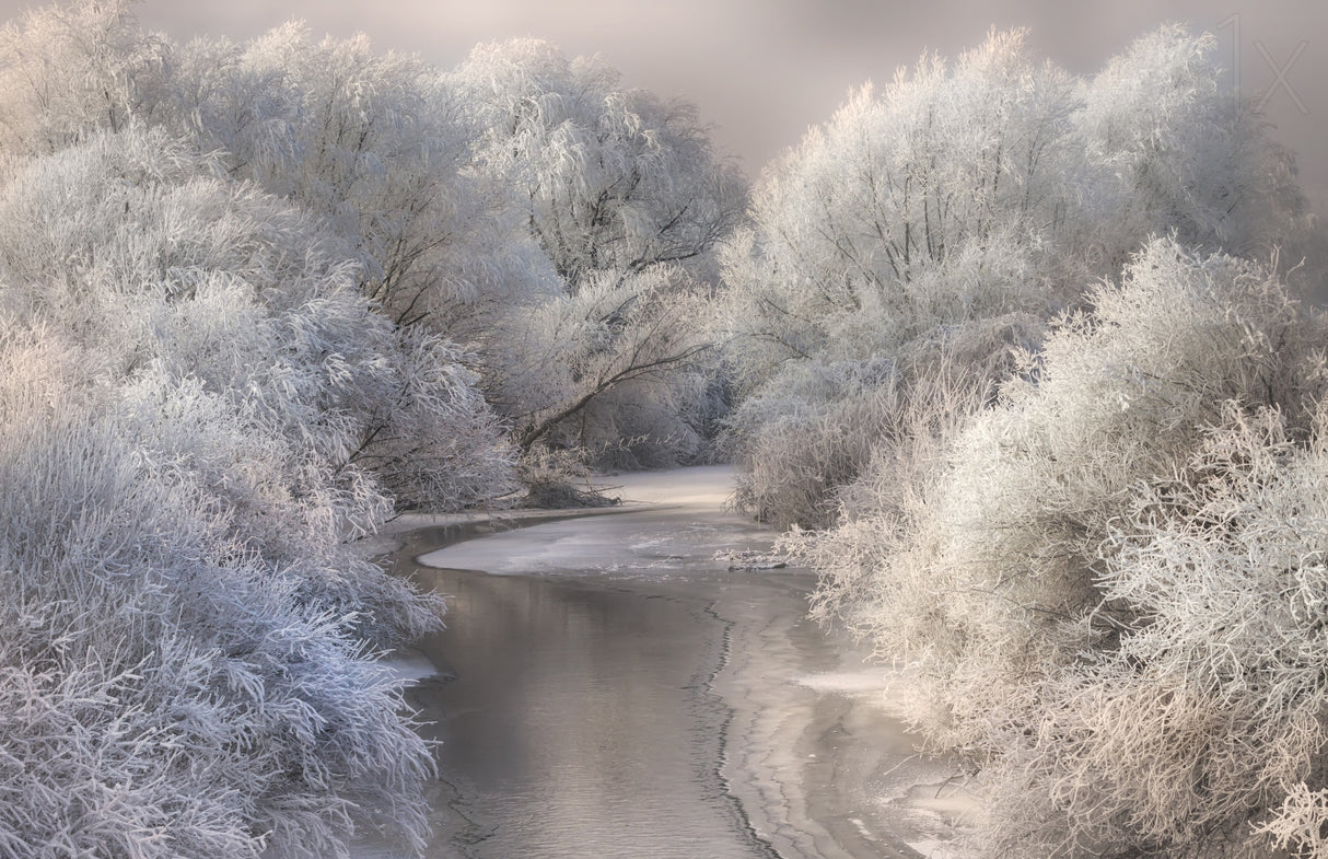 Winter Song Poster och Canvastavla