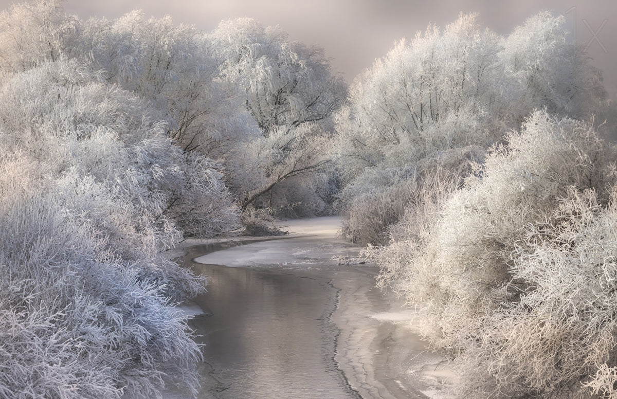 Winter Song Poster och Canvastavla