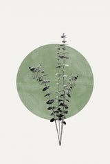 Eucalyptus and Green Moon Poster och Canvastavla