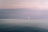 Dreamy Lake Ontario Poster och Canvastavla