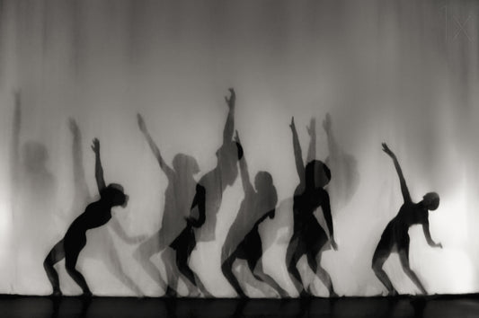 Dance is the language of the soul ... Poster och Canvastavla