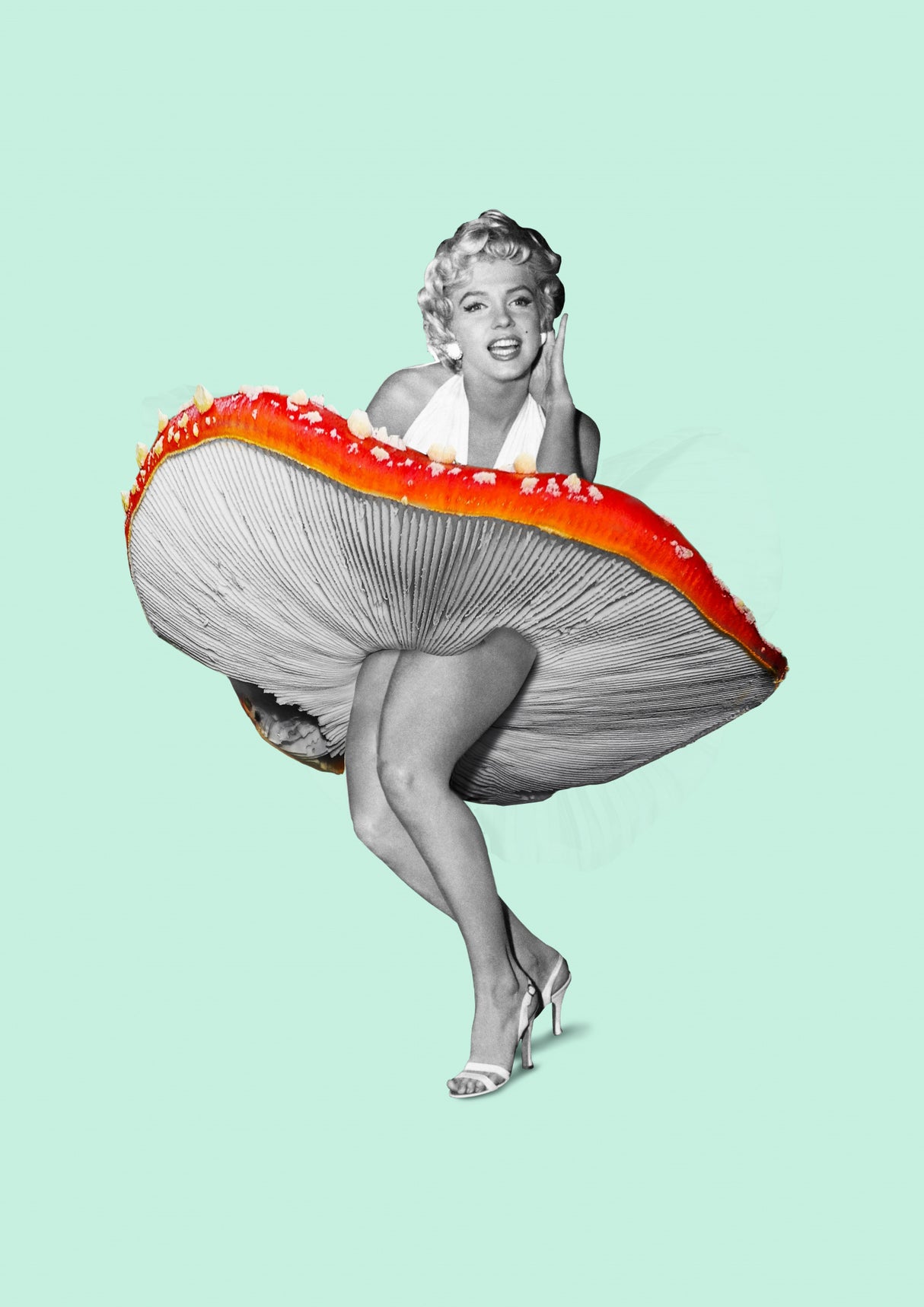 Happy Dress Poster och Canvastavla