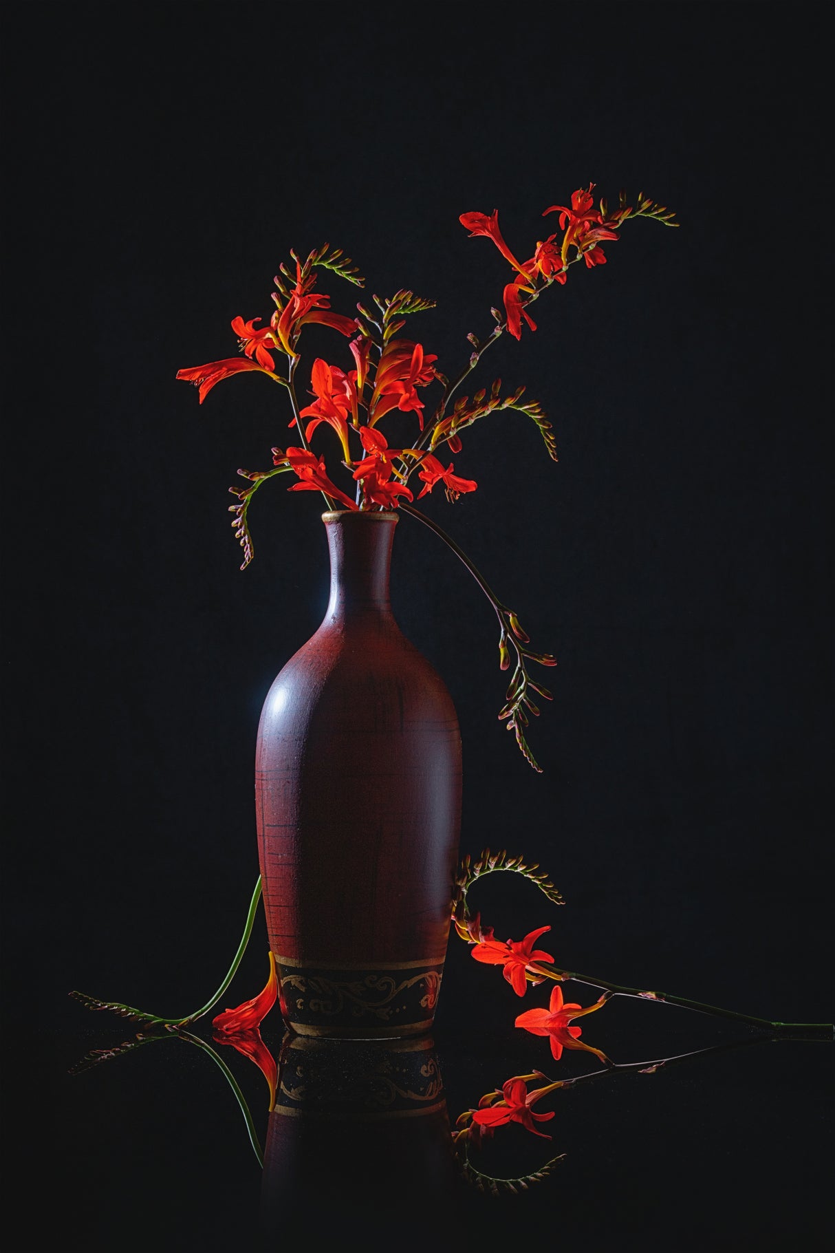 Red Lucifer flower Poster och Canvastavla