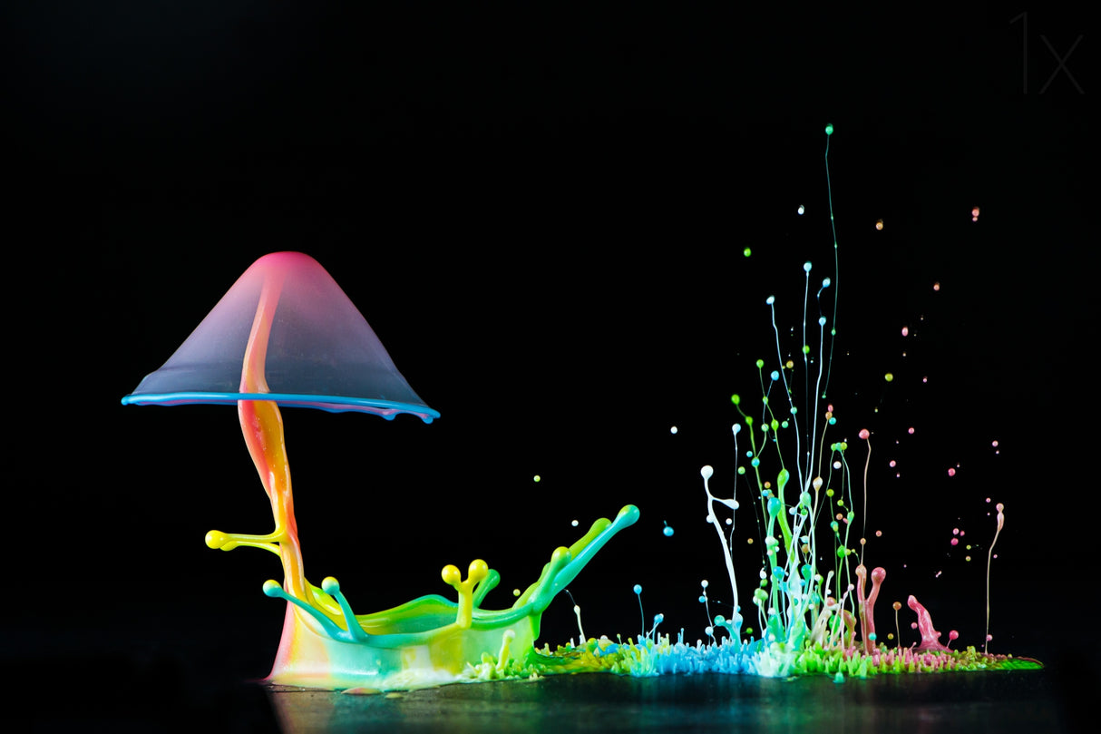 Symphony of Colors Poster och Canvastavla