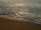 sea waves on the beach at sunset Poster och Canvastavla