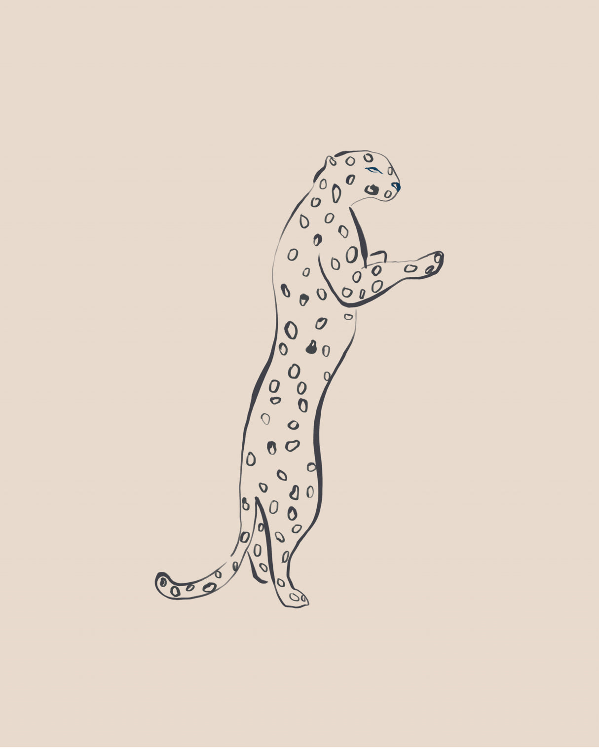 Leopard Poster och Canvastavla