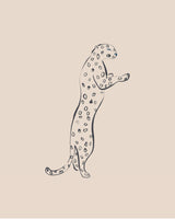 Leopard Poster och Canvastavla