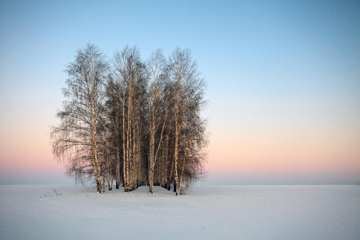 Frozen Spaces Poster och Canvastavla