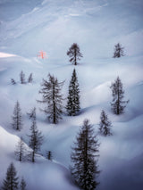Last light Poster och Canvastavla