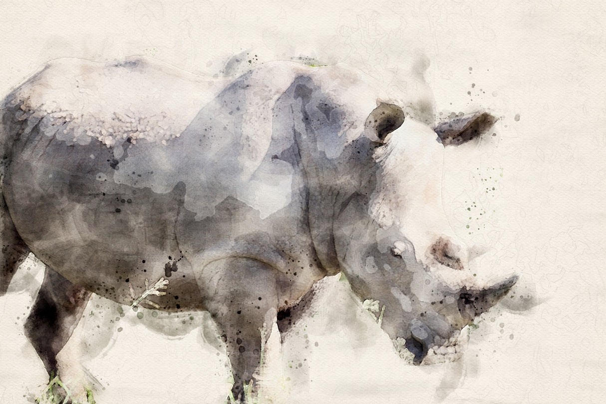 Abstract African Rhinoceros Watercolor Art Poster och Canvastavla
