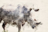 Abstract African Rhinoceros Watercolor Art Poster och Canvastavla