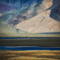 alone in a beautiful world Poster och Canvastavla