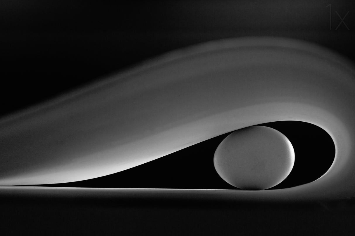 The egg Poster och Canvastavla