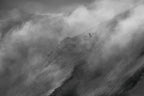 Faster than clouds Poster och Canvastavla