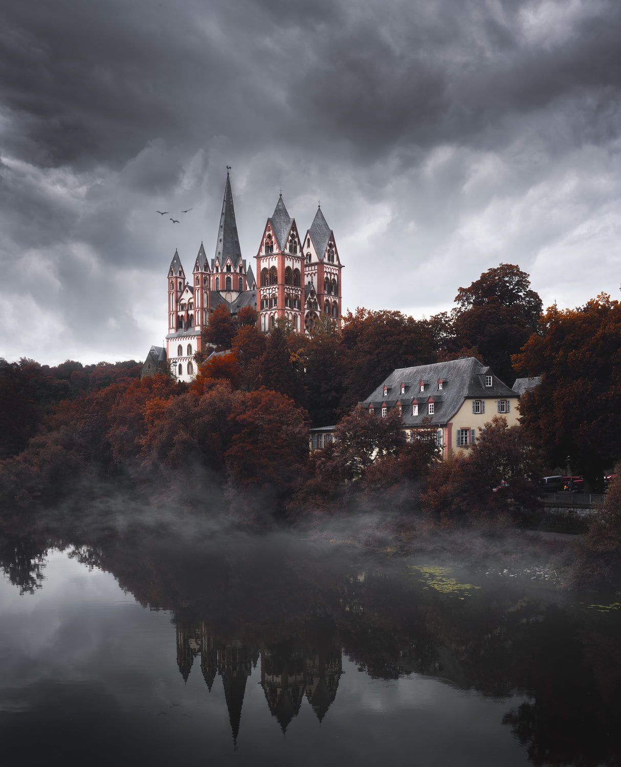 Fairy tale Limburg Poster och Canvastavla