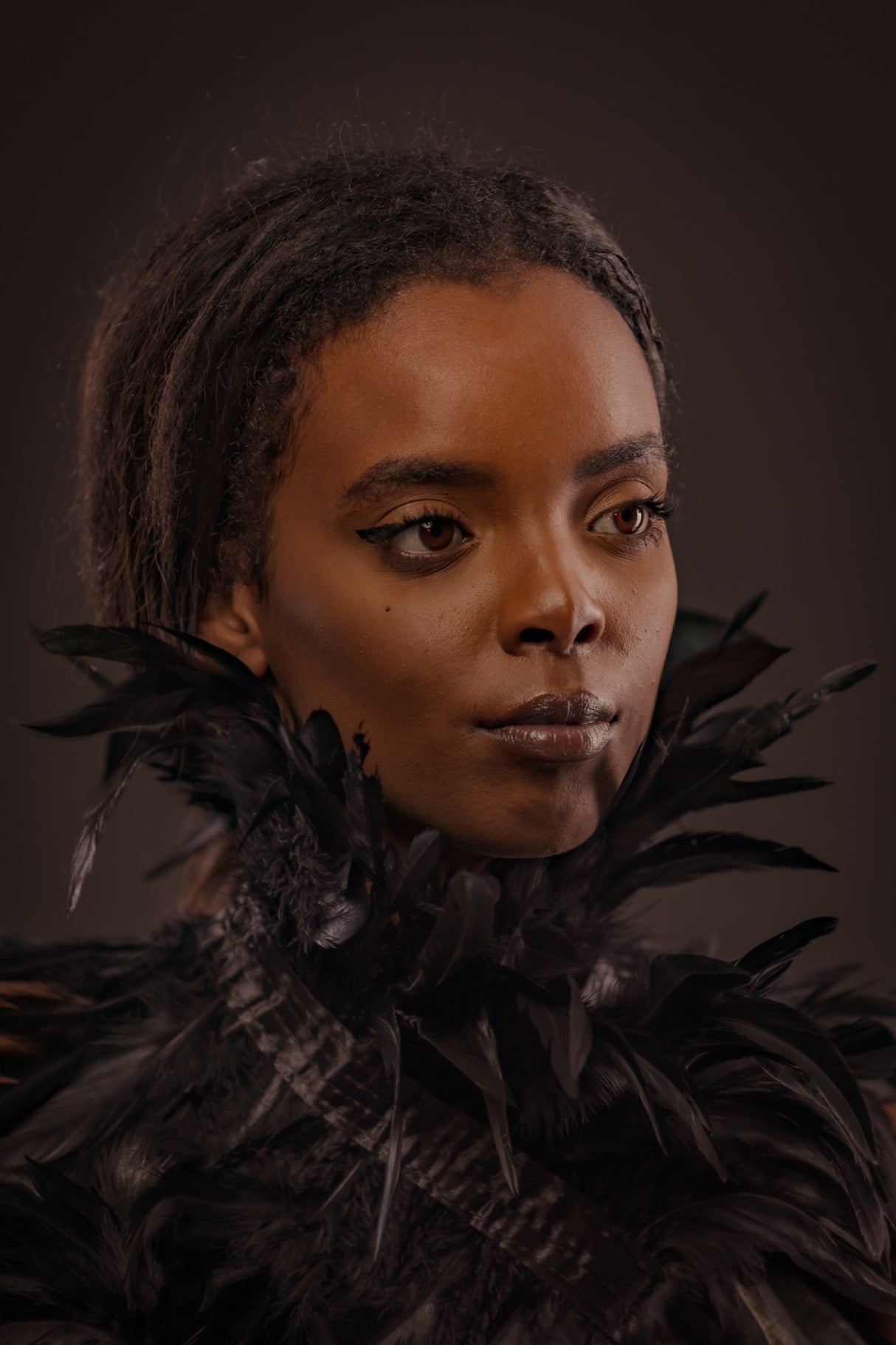 Feather collar Poster och Canvastavla