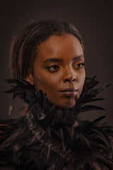 Feather collar Poster och Canvastavla