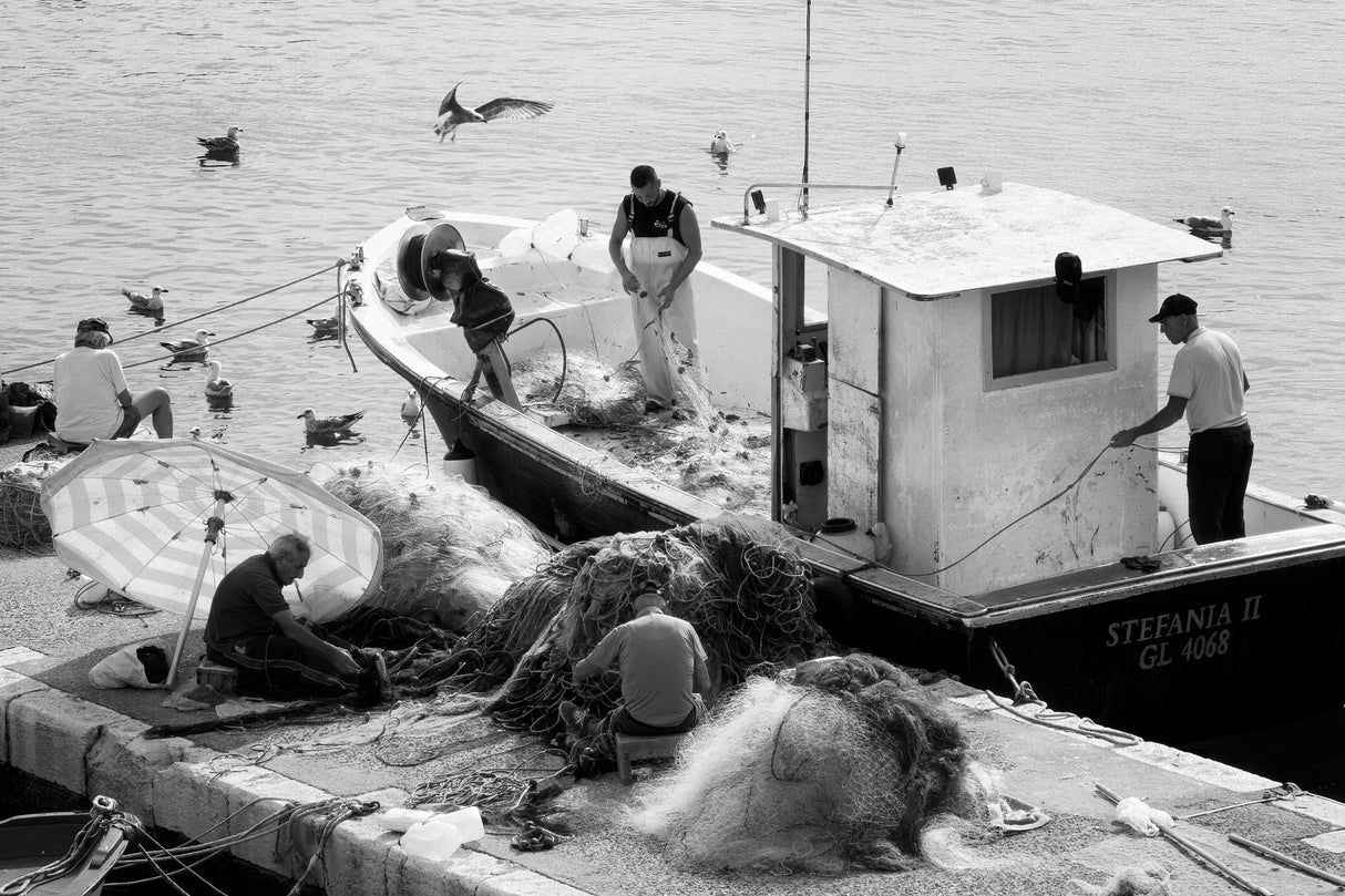Fishermen and seagulls Poster och Canvastavla
