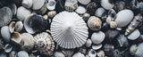 Beach Impressions No 33 Poster och Canvastavla