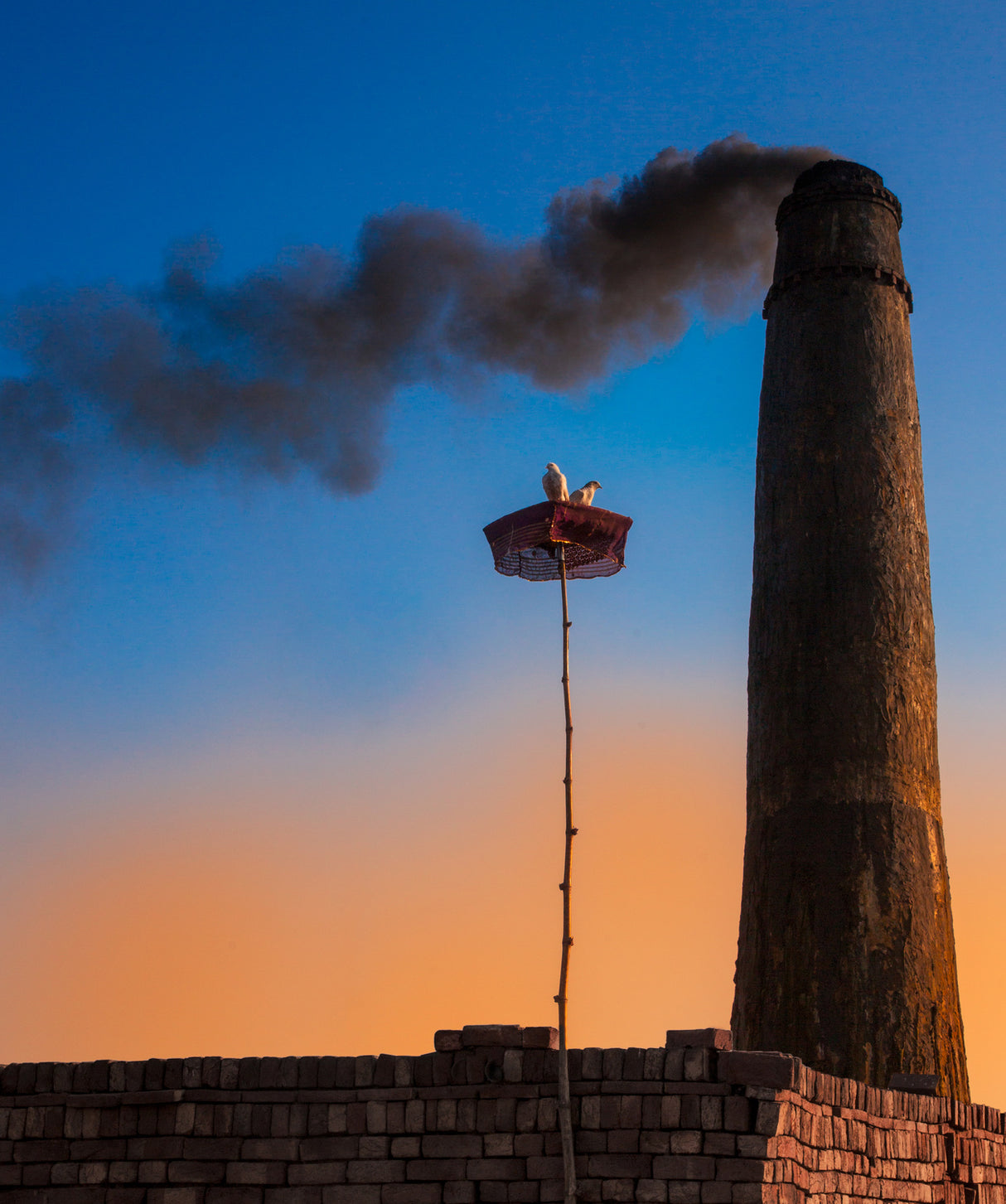 Pollution Poster och Canvastavla