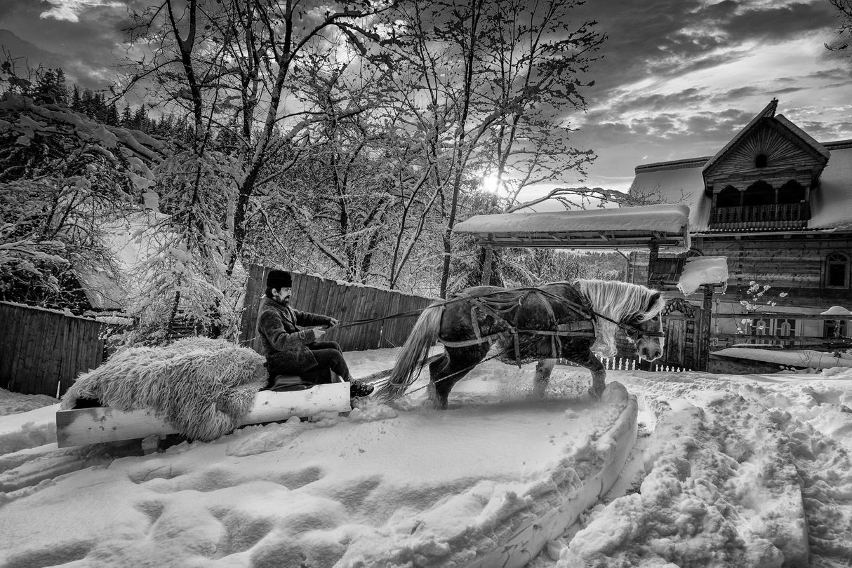 Hard Winter Poster och Canvastavla