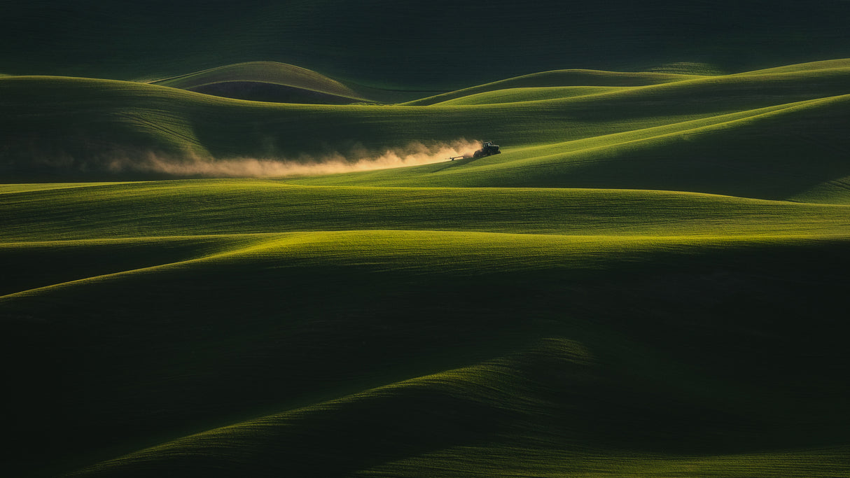 On The Rolling Hills Poster och Canvastavla