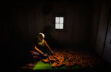 Corner of Corn Poster och Canvastavla