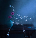 spring is here Poster och Canvastavla