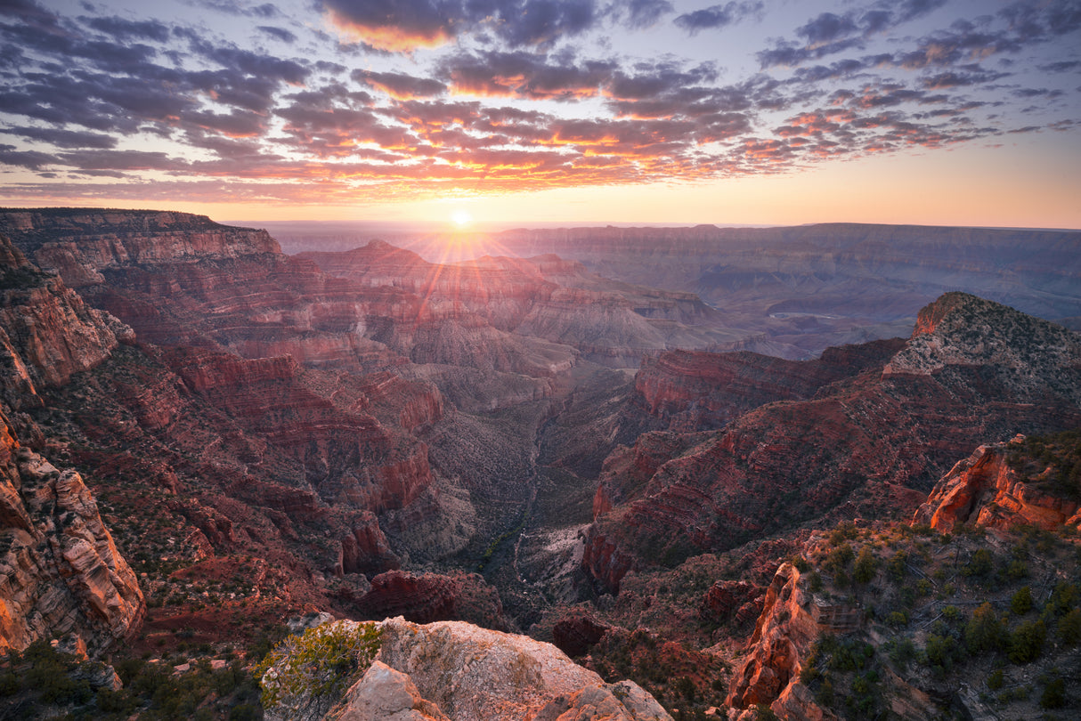 Grand Canyon View Poster och Canvastavla