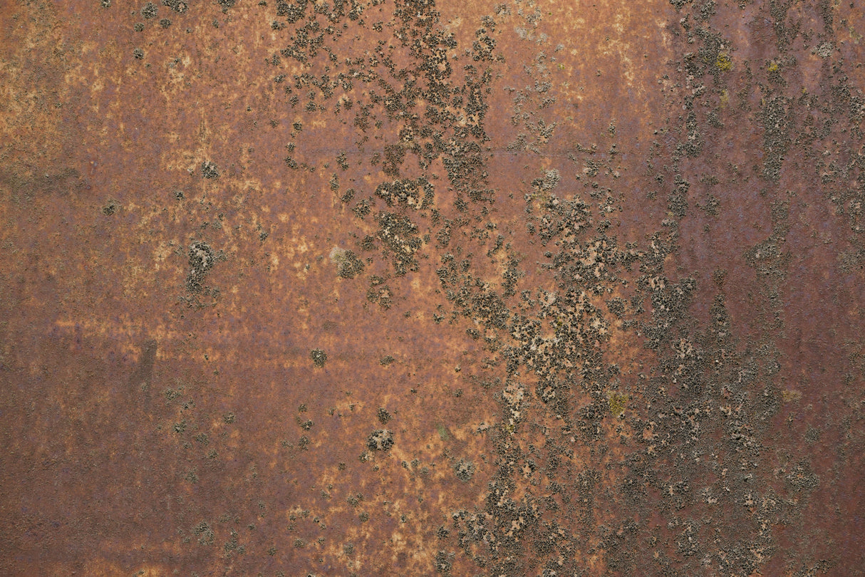 Rust 31 Poster och Canvastavla