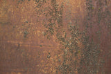 Rust 31 Poster och Canvastavla