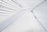 Curvature #2 Poster och Canvastavla