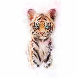 Baby Tiger Poster och Canvastavla