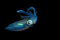colours at night III Poster och Canvastavla