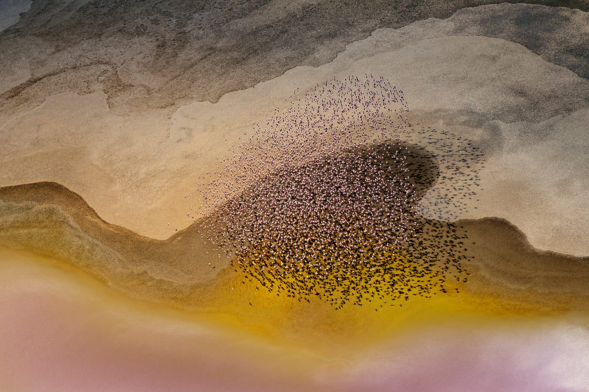 Crossing Natron Lake Poster och Canvastavla