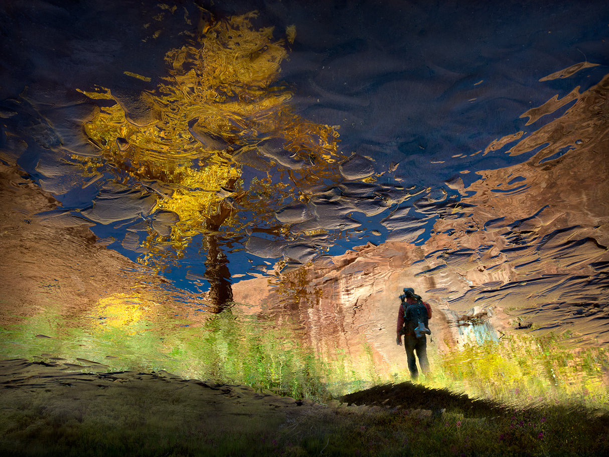 Man in Nature - Into the Canyon Poster och Canvastavla