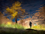 Man in Nature - Into the Canyon Poster och Canvastavla
