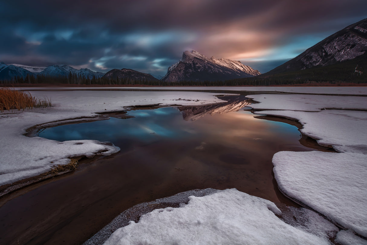 Dreamland Poster och Canvastavla